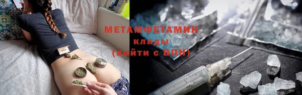 индика Аркадак