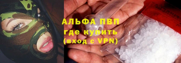 гашик Арсеньев