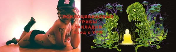 индика Аркадак