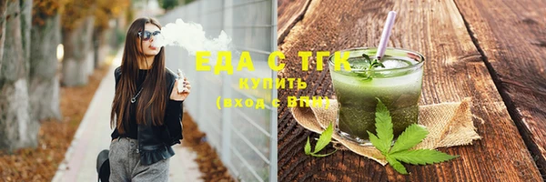 индика Аркадак