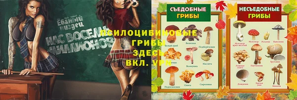 ПСИЛОЦИБИНОВЫЕ ГРИБЫ Балахна